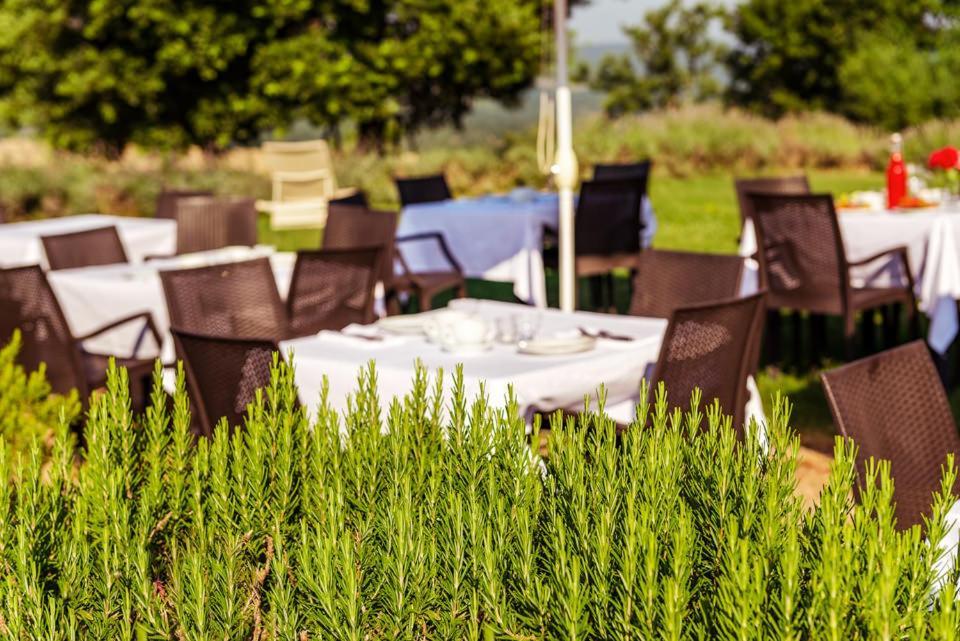 Agriturismo & Cantina Tenuta Casteani Ribolla Eksteriør bilde