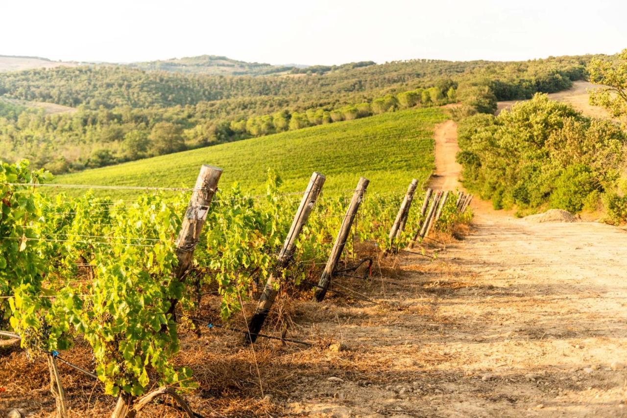 Agriturismo & Cantina Tenuta Casteani Ribolla Eksteriør bilde