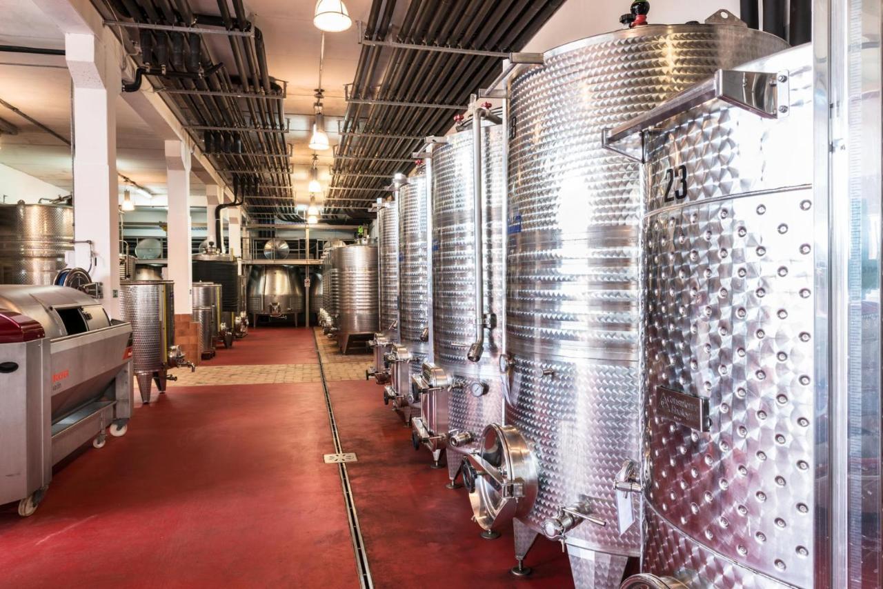 Agriturismo & Cantina Tenuta Casteani Ribolla Eksteriør bilde